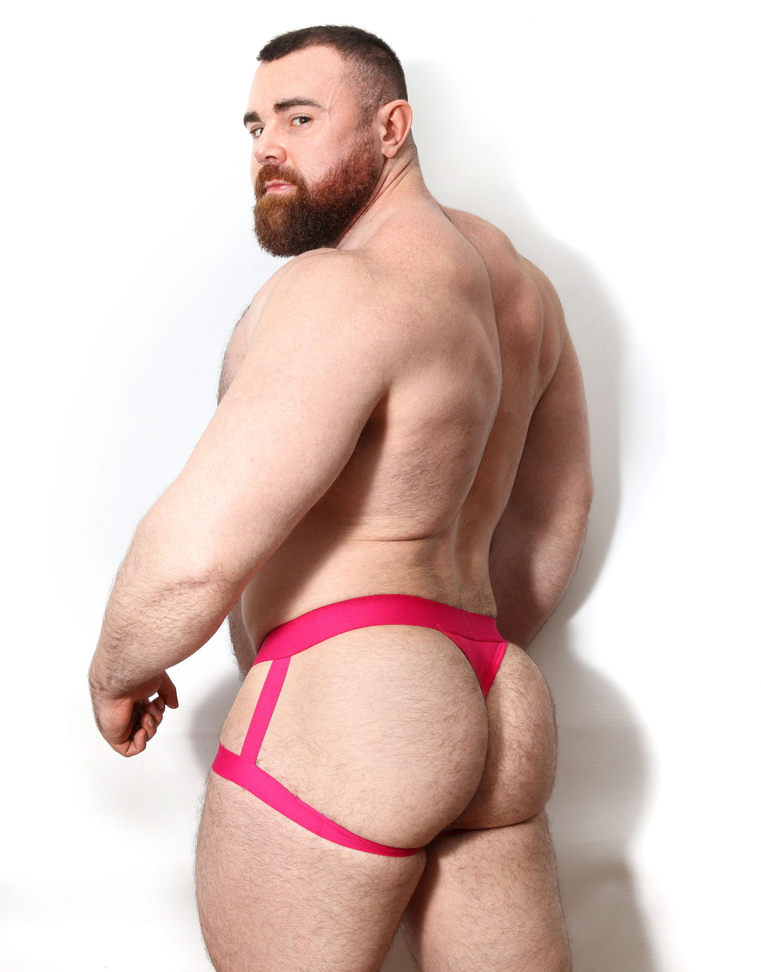 Violation Panel Brief - Fuchsia