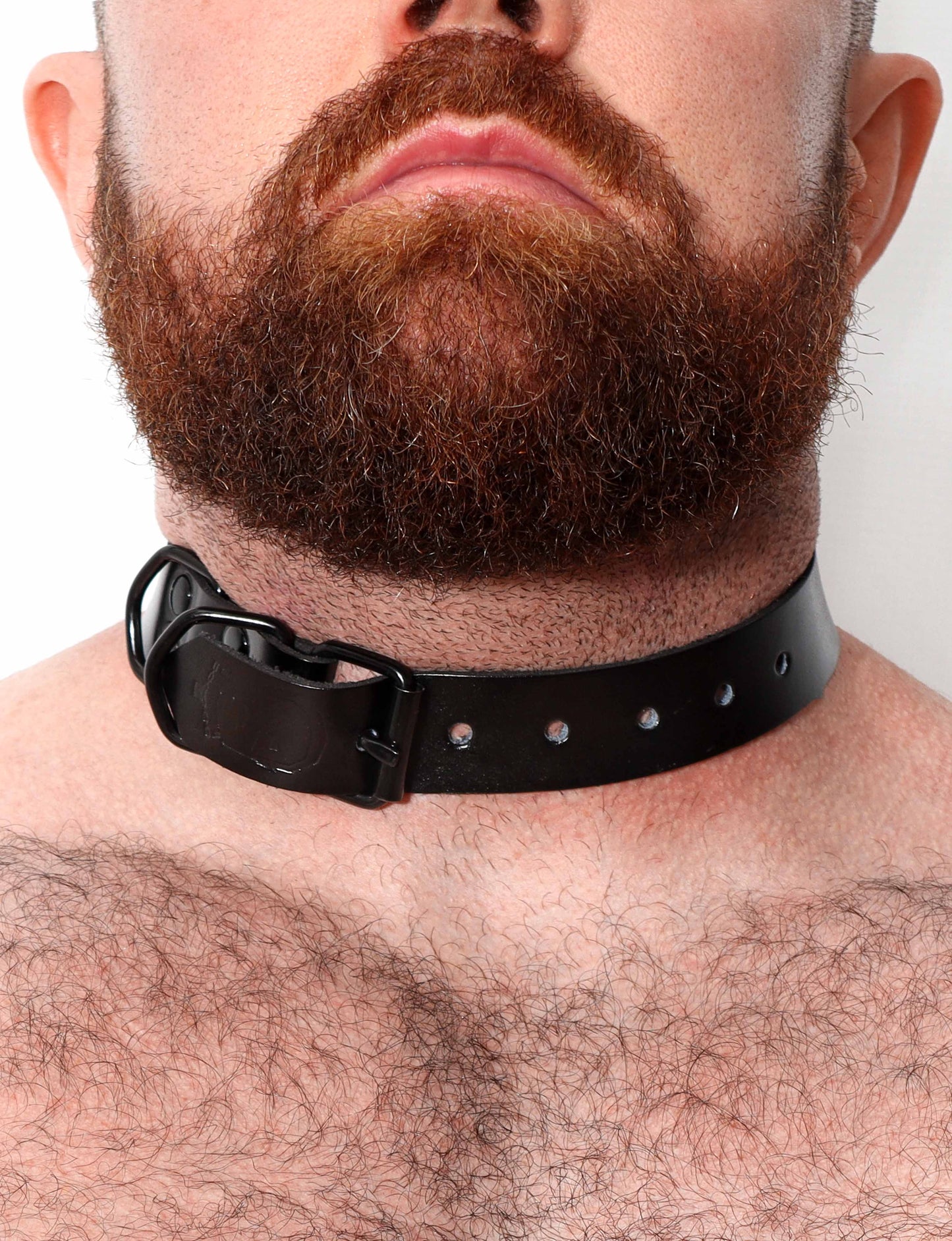 Strong Leather Collar with Chain