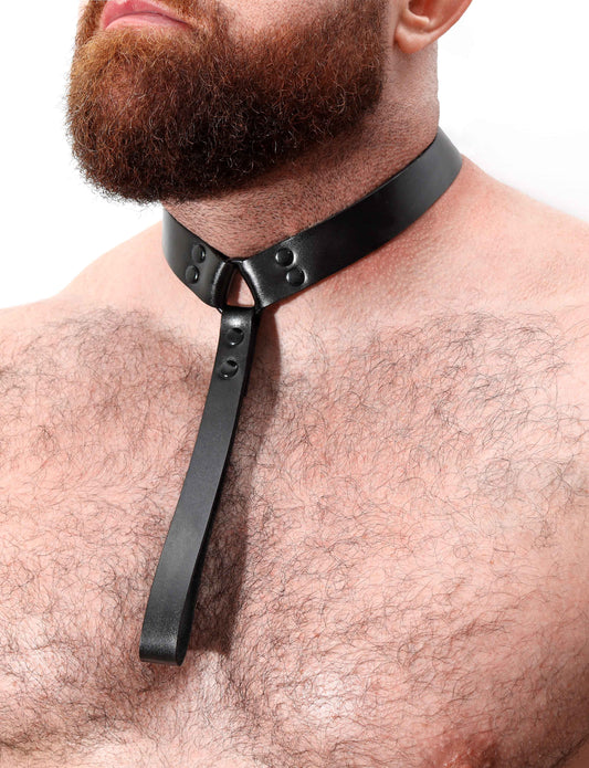 Strong Leather Collar with Leather Holder