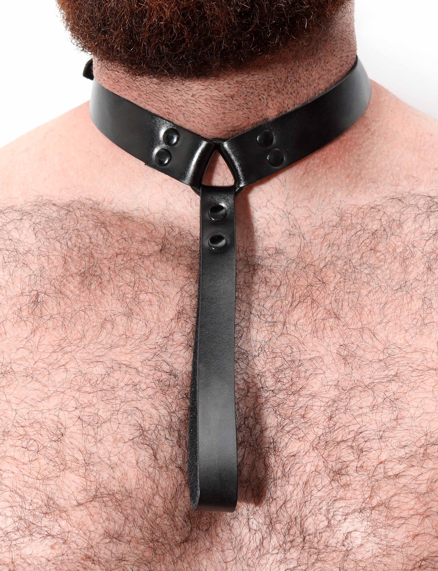 Strong Leather Collar with Leather Holder
